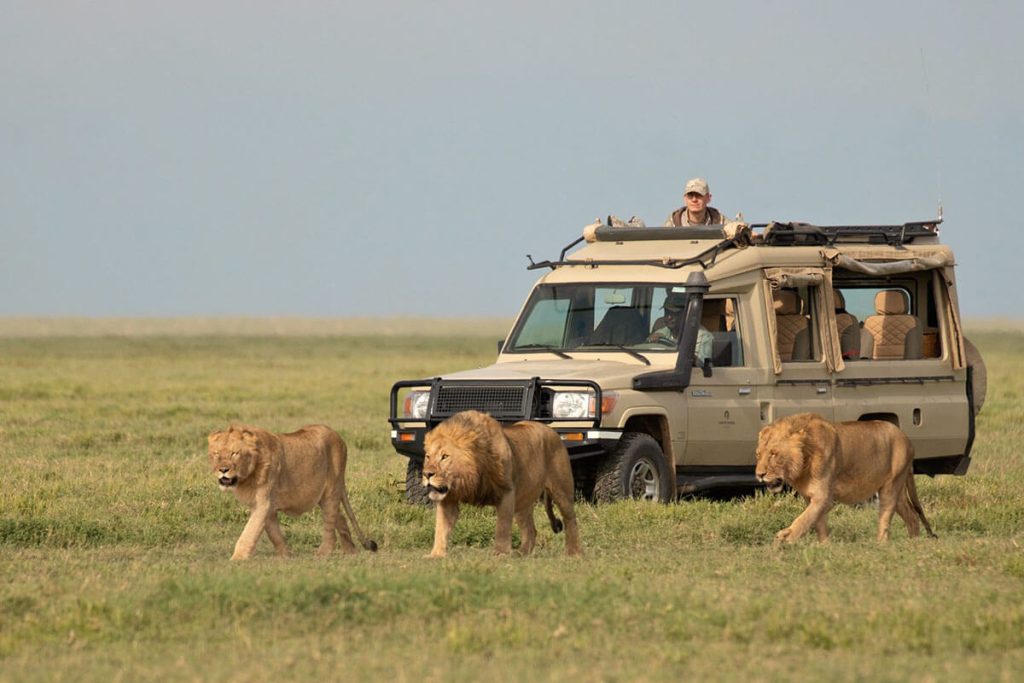 BEst time to visit Serengeti