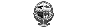 ngorongoro