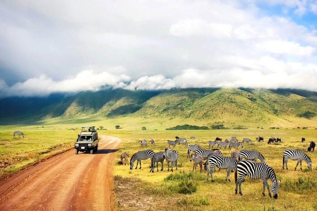 Best time to visit Tanzania