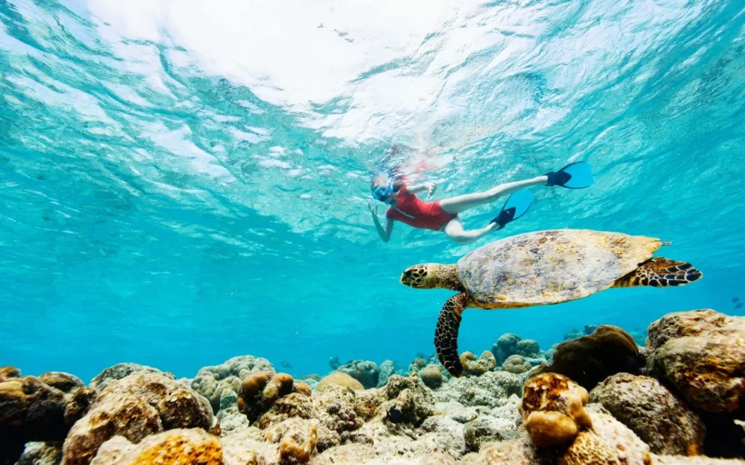 Where Is Zanzibar, Map, Routes, And First-Timer Tips